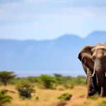 Protecting Endangered Animals: A Call to Action for Conservation