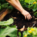 The Ultimate Guide to Composting: Everything You Need to Know