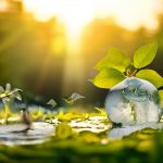 Understanding the Water Cycle: Nature’s Recycler